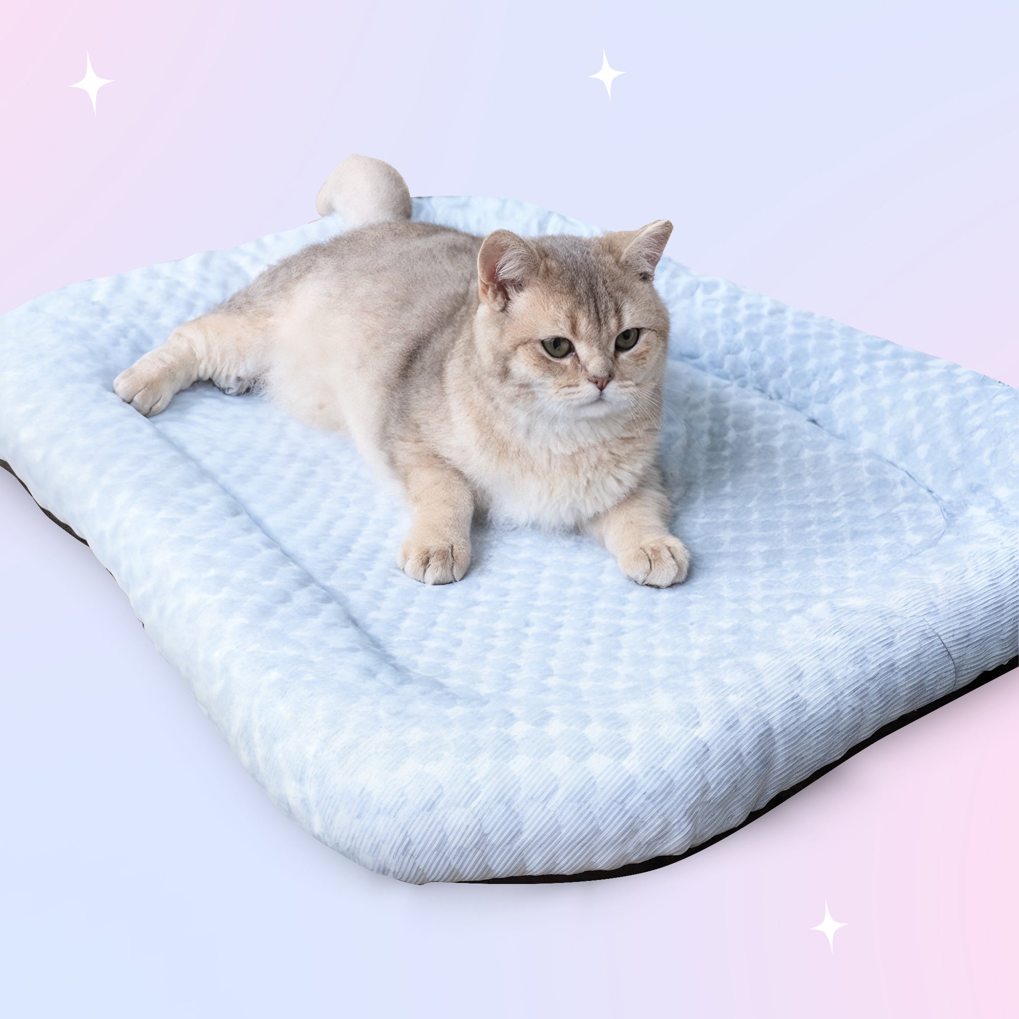 Ice-Silk Cooling Pet Bed
